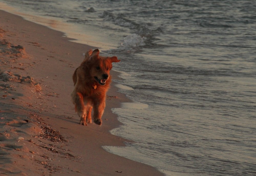 Так вот ты какое Чёрное море...
