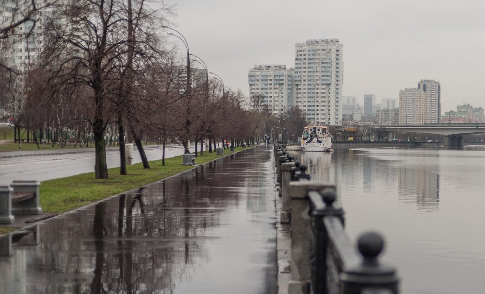 Пасмурным утром