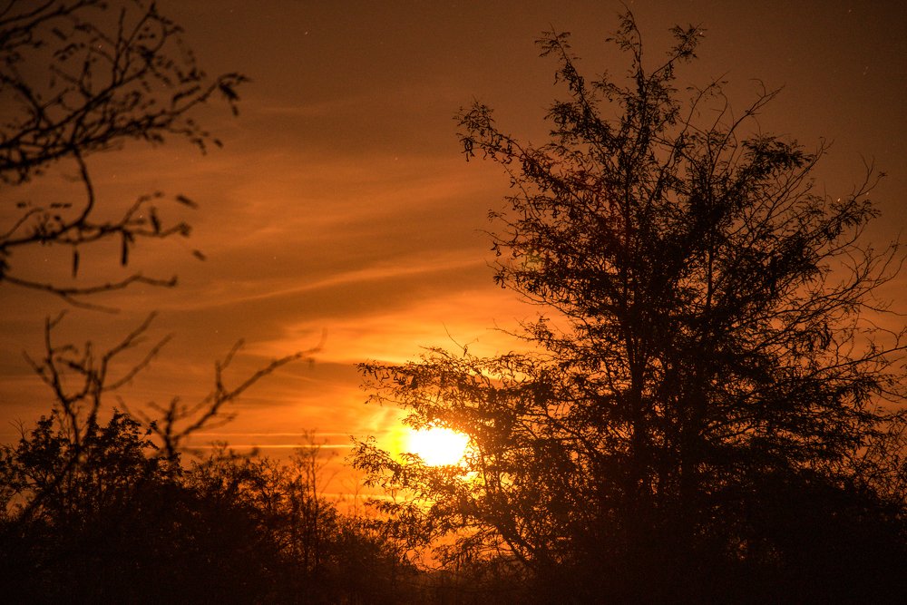 Восход луны