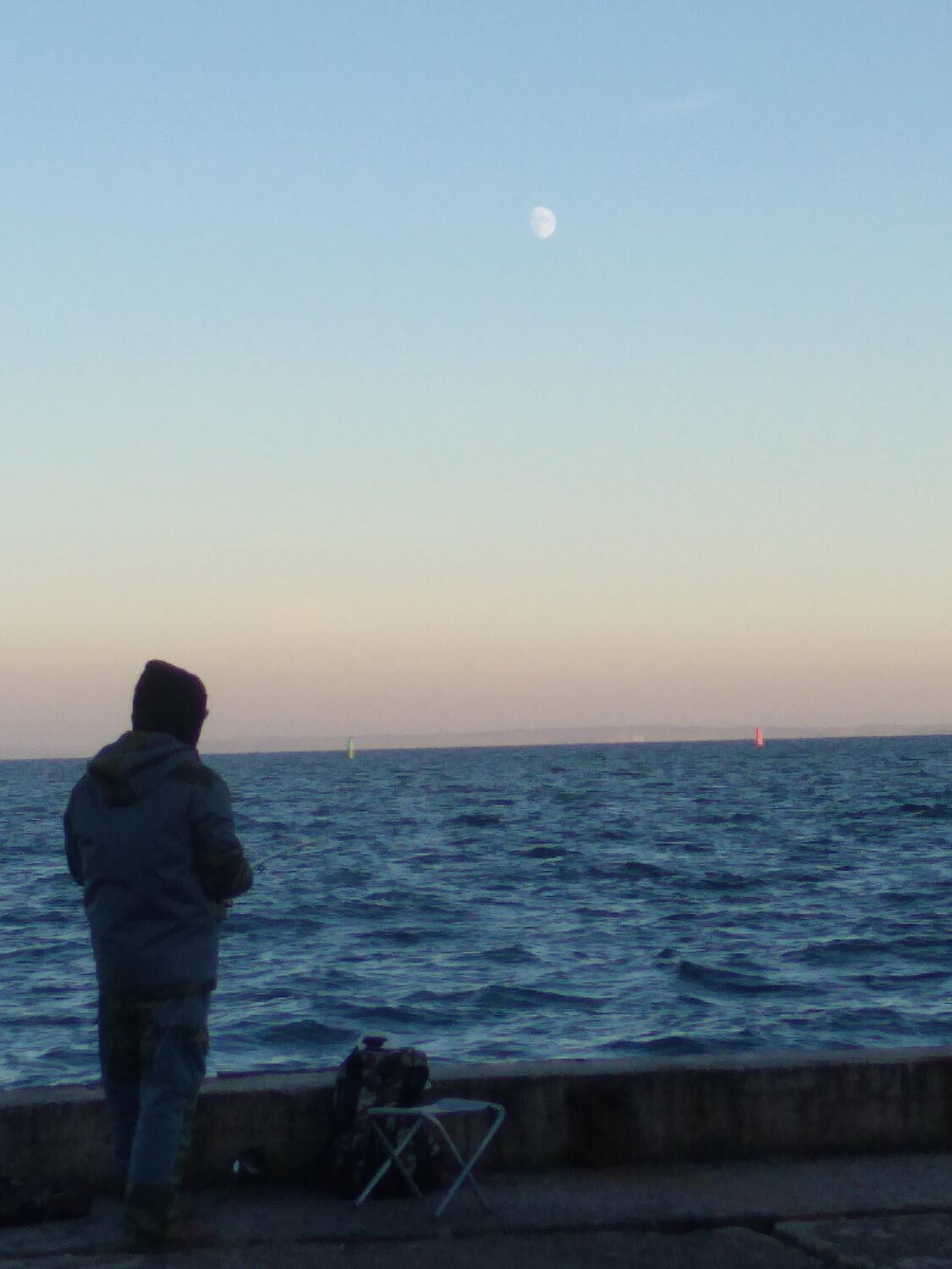 Photo #3764452