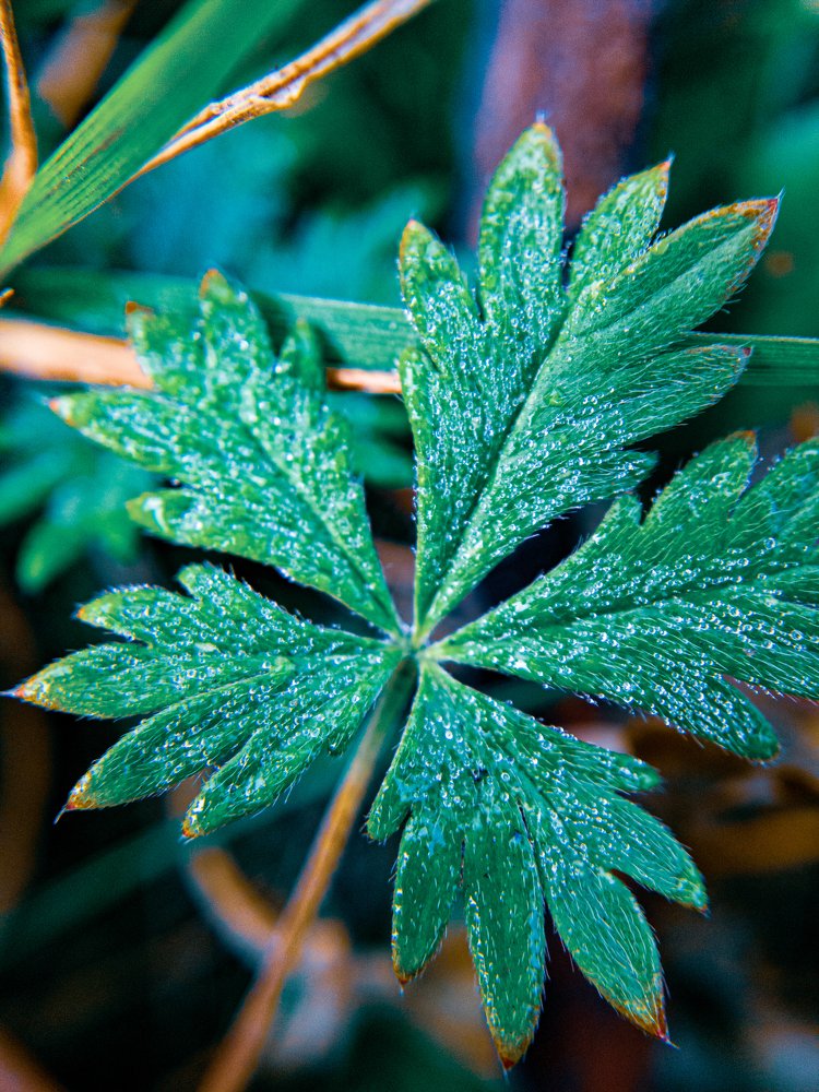 Photograph by Евгений Журихин