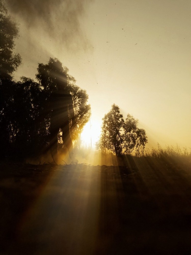 Photograph by Mukhald Alkureshe