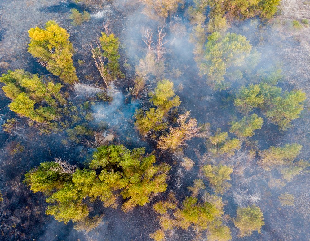 Photograph by Александр Колбасин