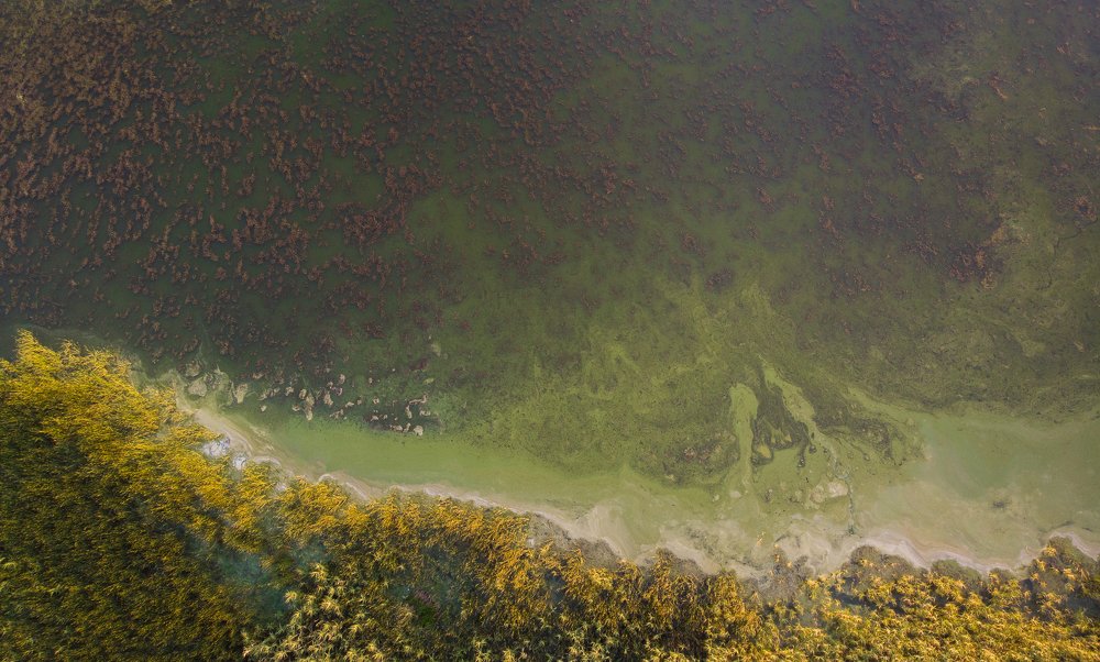 Photograph by Александр Колбасин