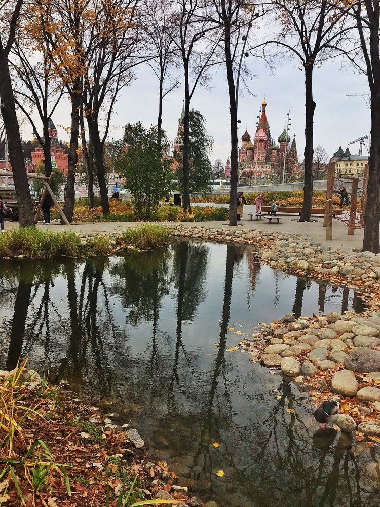 Отражение осени