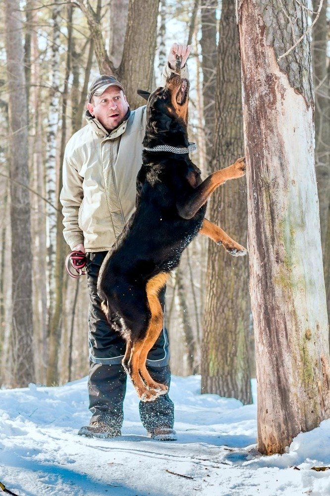 Photograph by Татьяна Макотра