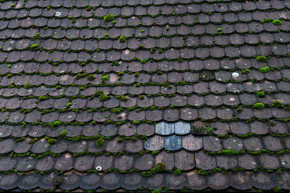 Photograph by Schewzow Lana