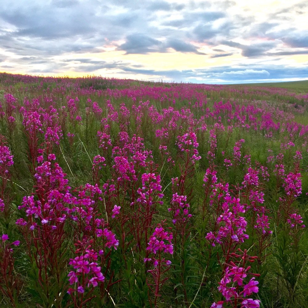 Photograph by Валентина Широбокова