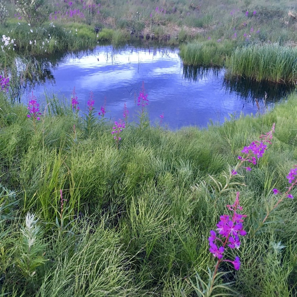 Photograph by Валентина Широбокова