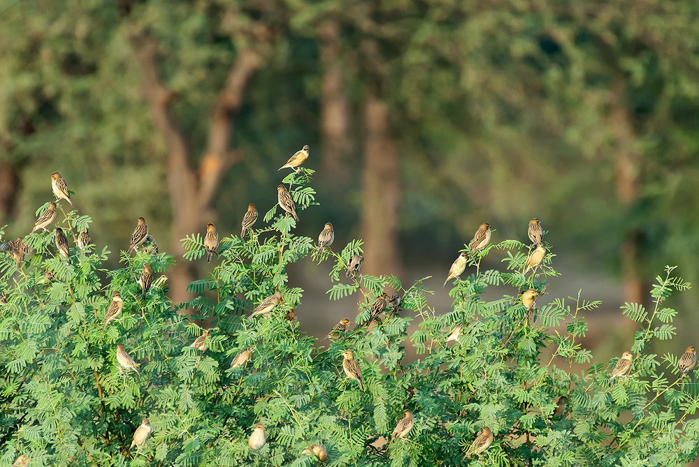 Photograph by Rishit Sheth