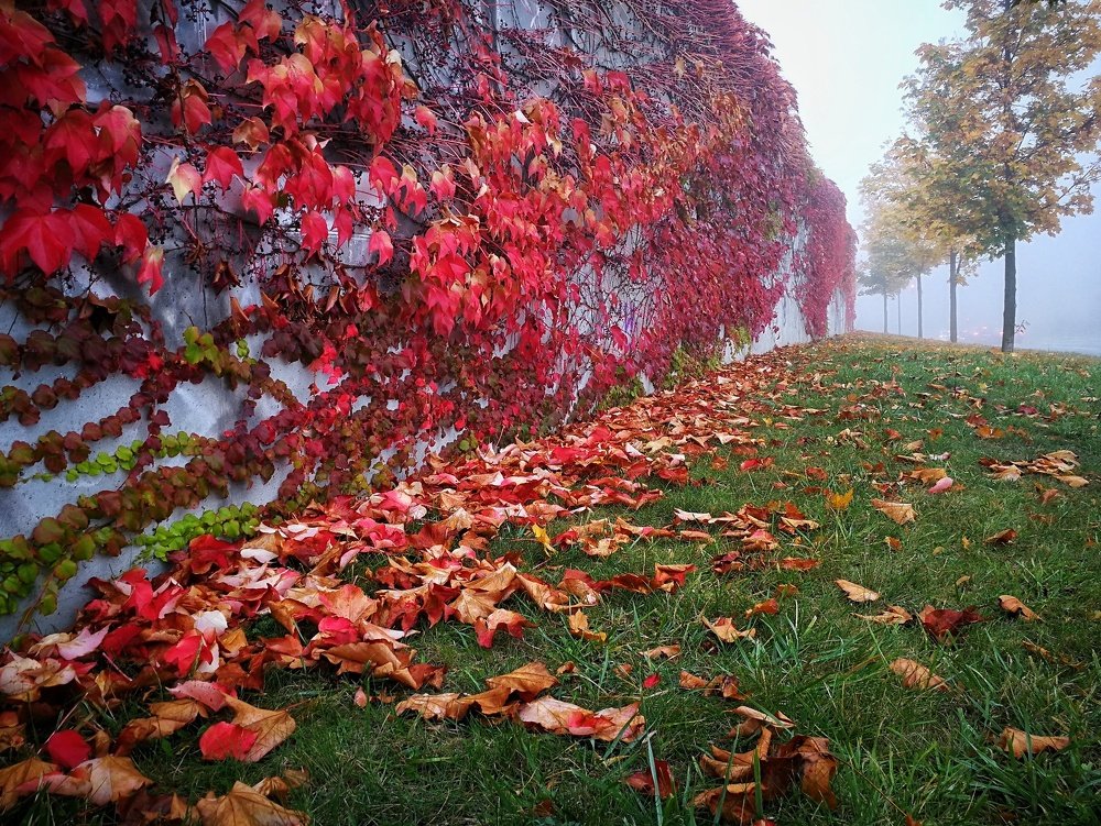 Photograph by Yurii Vashchenko