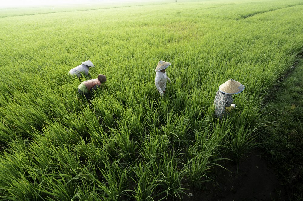 Photograph by Firman Hakim