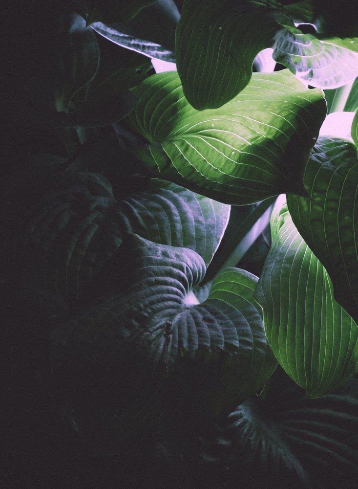 Photograph by Павел Хайрутдинов