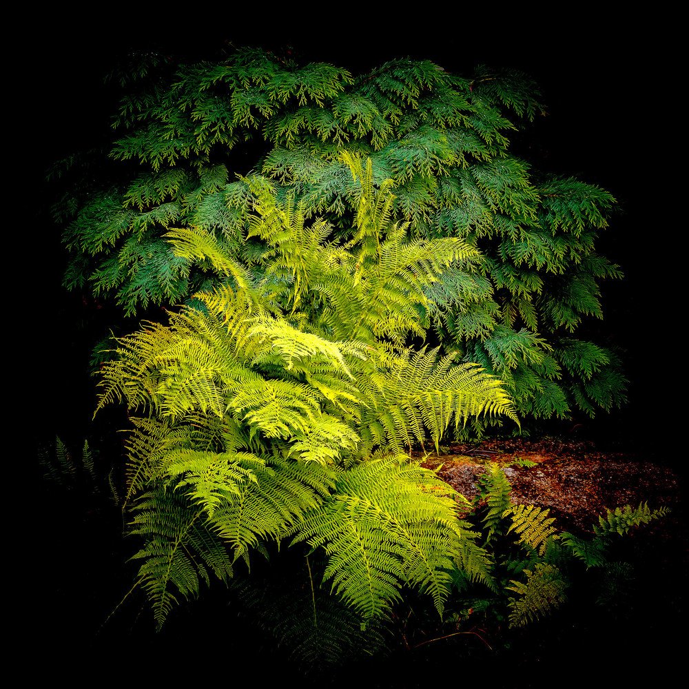 Photograph by Lubos Vojtech