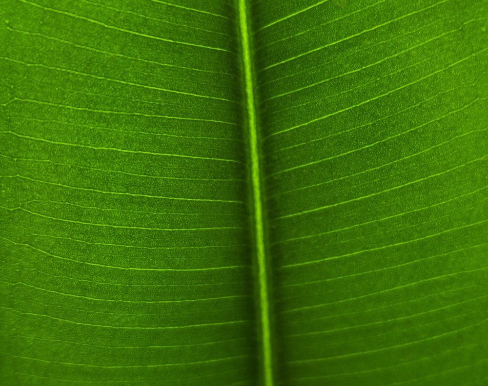 Photograph by Павел Хайрутдинов