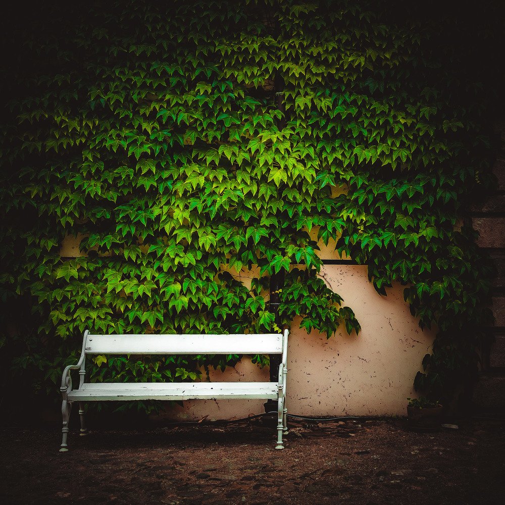 Photograph by Lubos Vojtech