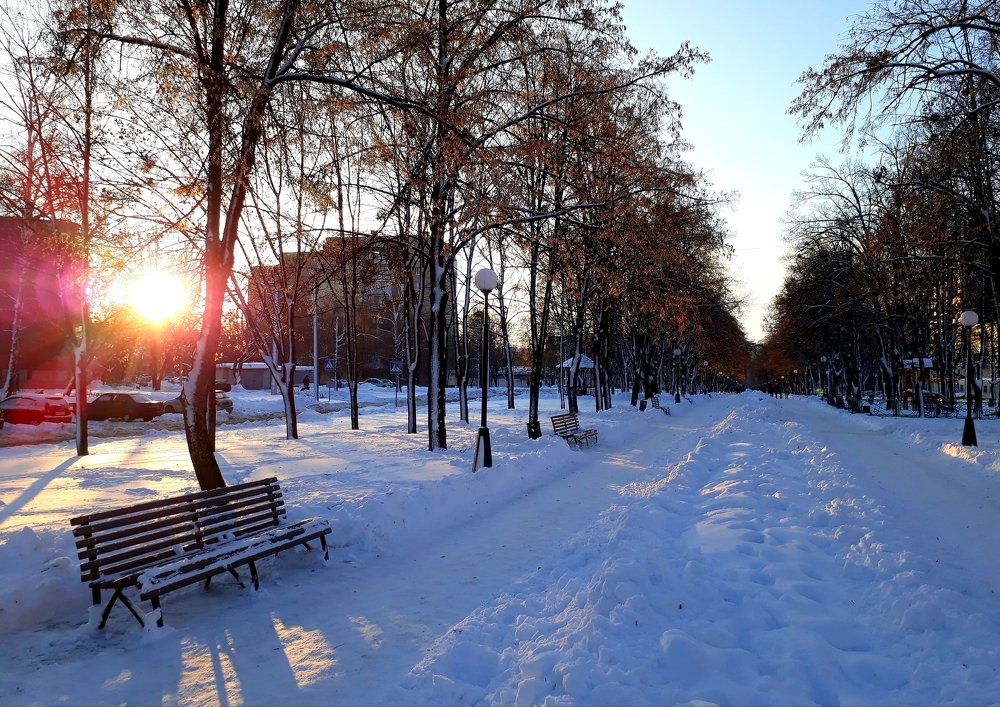 Зимний бульвар/ Winter boulevard