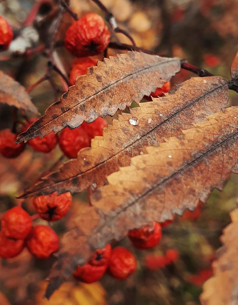 Photograph by Павел Хайрутдинов