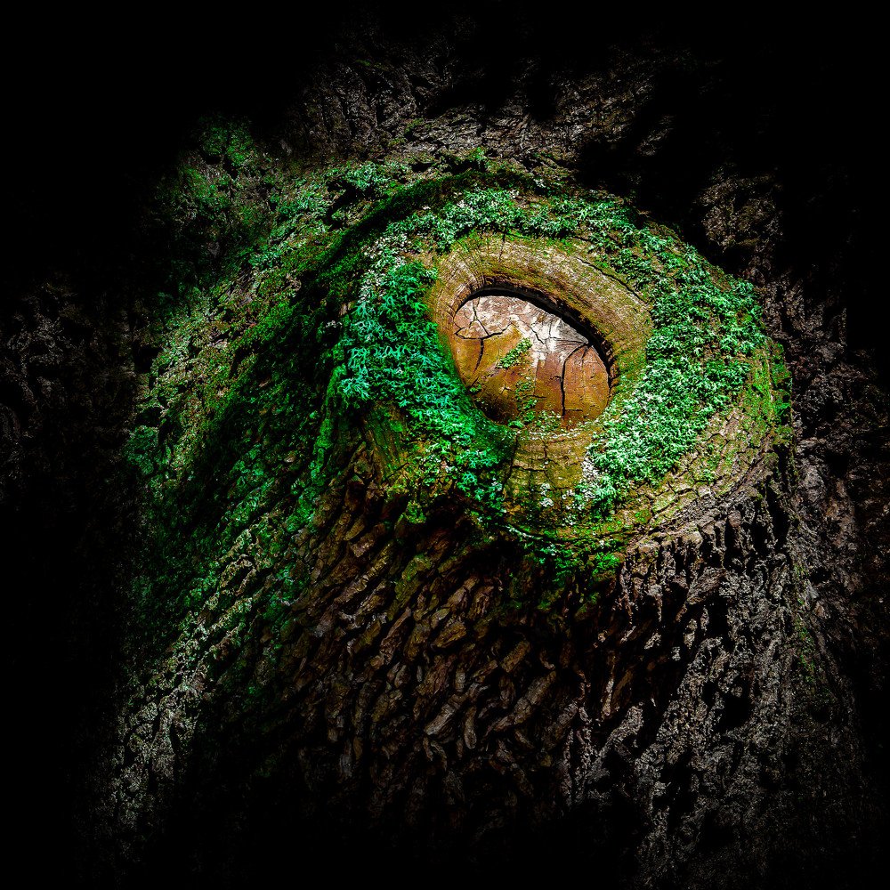 Photograph by Lubos Vojtech