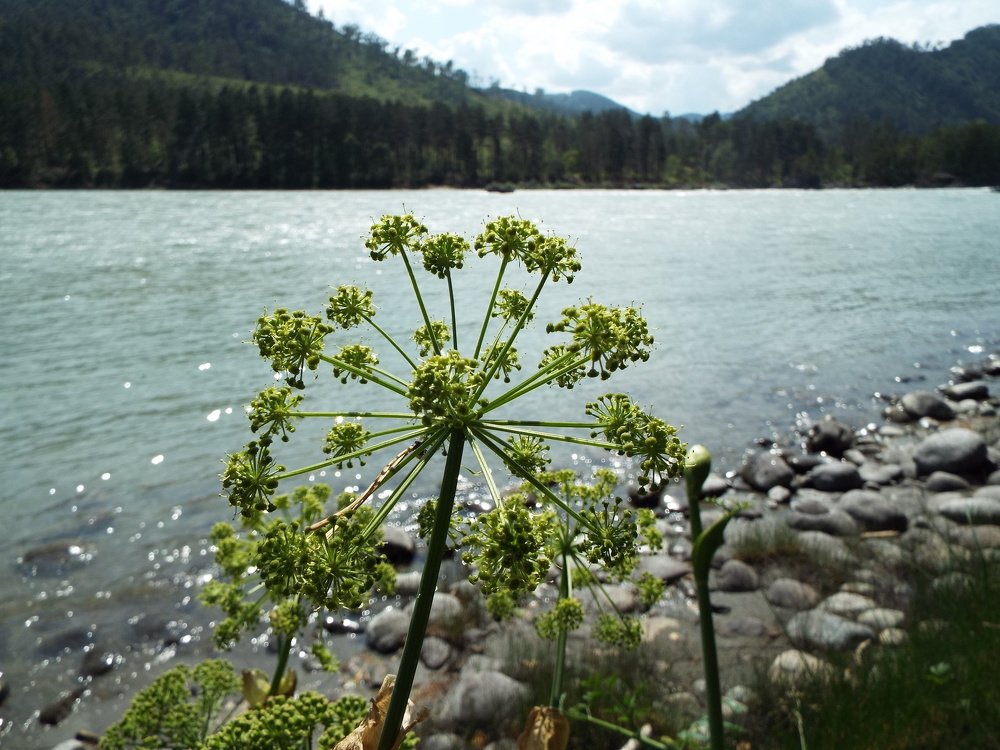 Photograph by Ирина