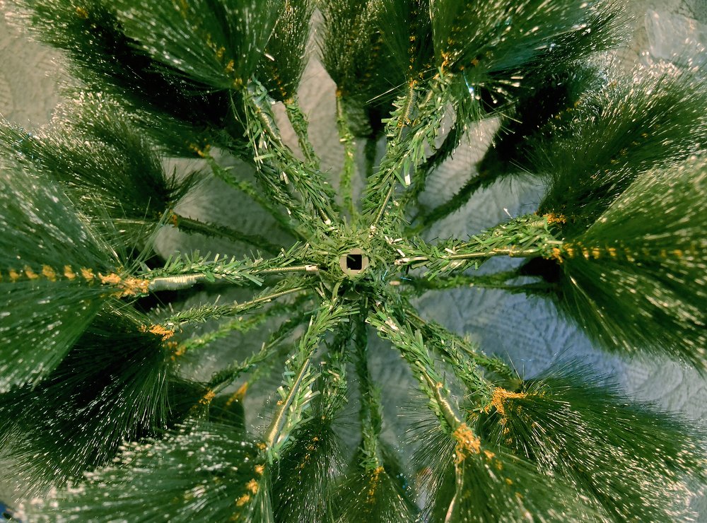 Photograph by Галина Милейко