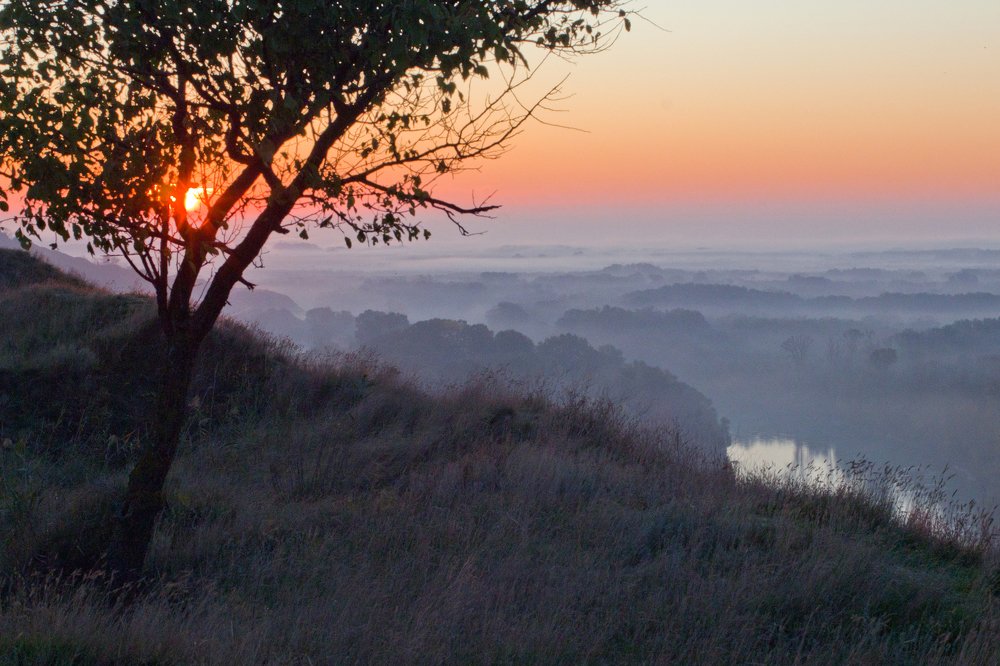 Photograph by Алексей Тимофеев