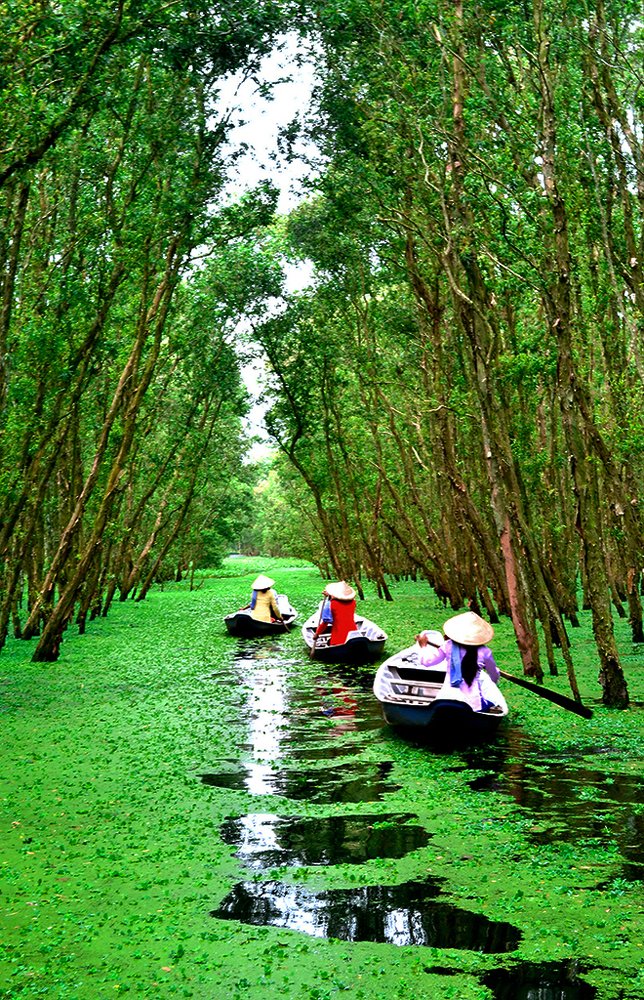 Photograph by HIEU LIEM DO