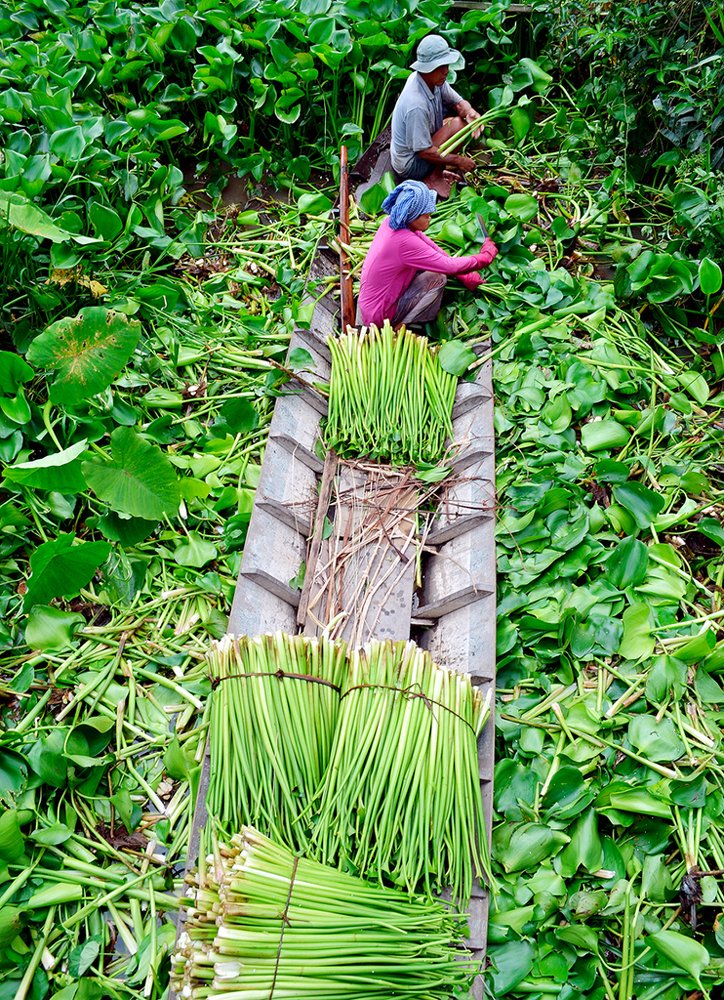 Photograph by HIEU LIEM DO