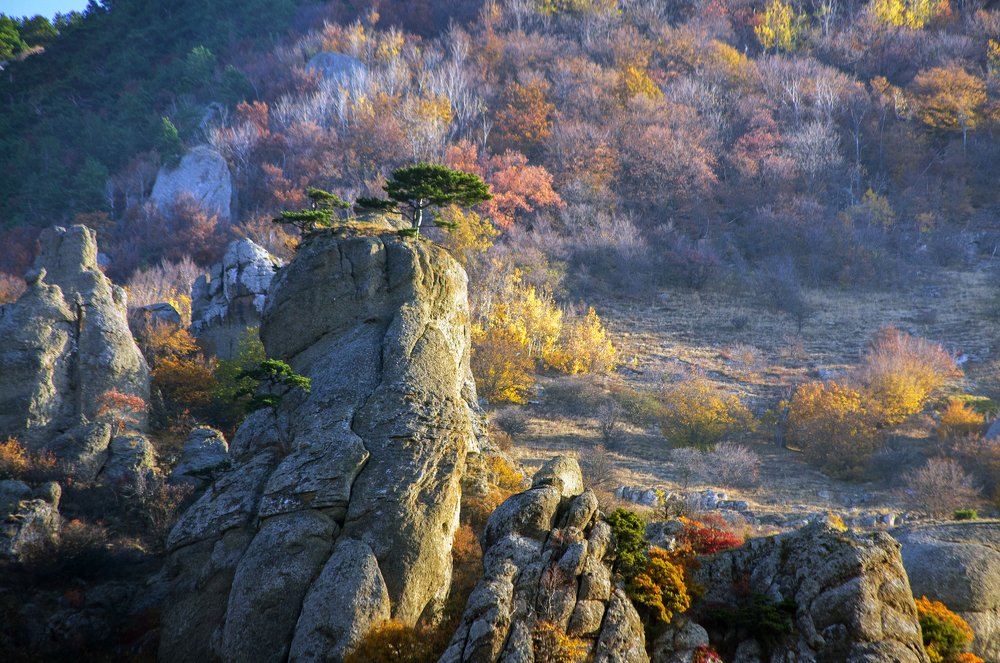 Цвета осени.Демерджи.