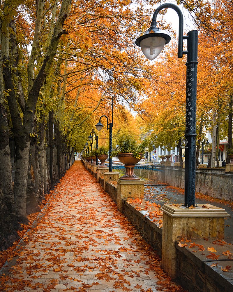 Photograph by sajjad saadat