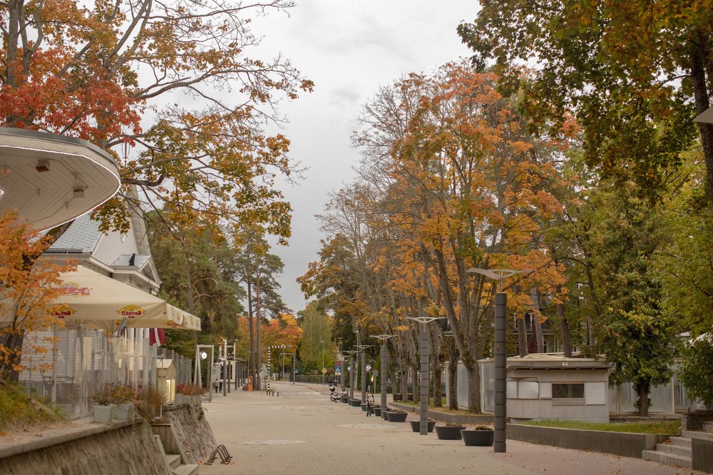 Photograph by Сергиенко Екатерина