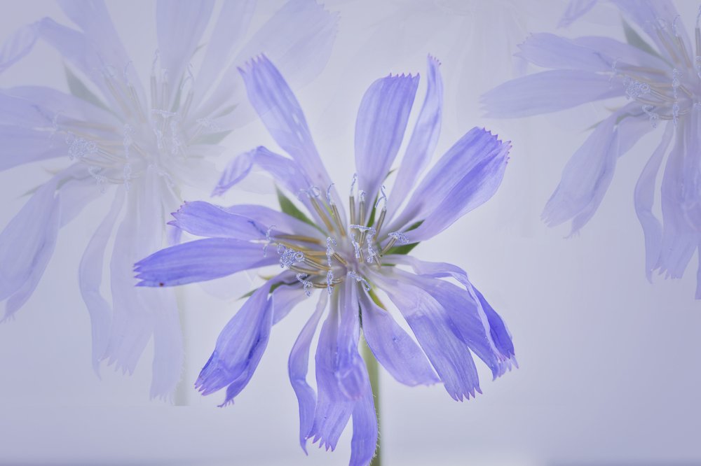 Photograph by Сергиенко Екатерина