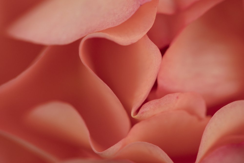 Photograph by Сергиенко Екатерина