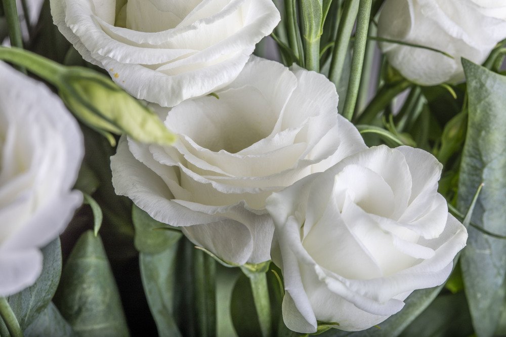 Photograph by Сергиенко Екатерина