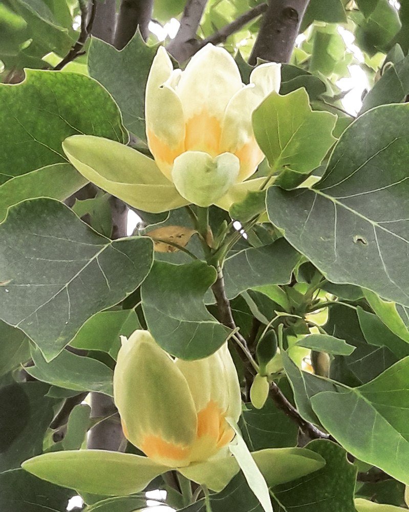 Photograph by Sedef Onum