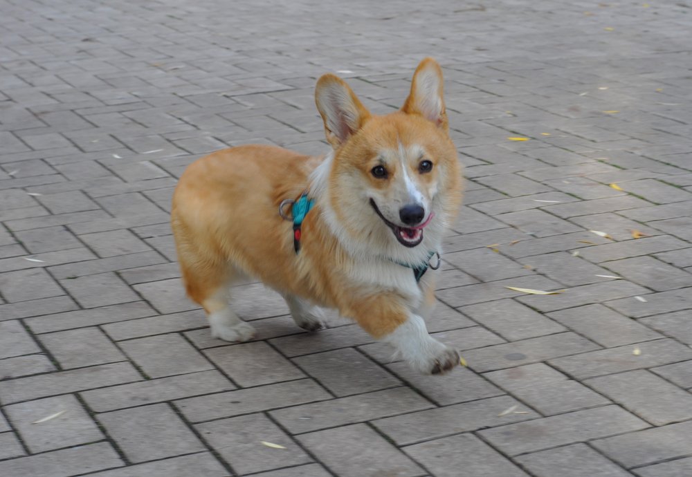 Photograph by Василий Фроленок