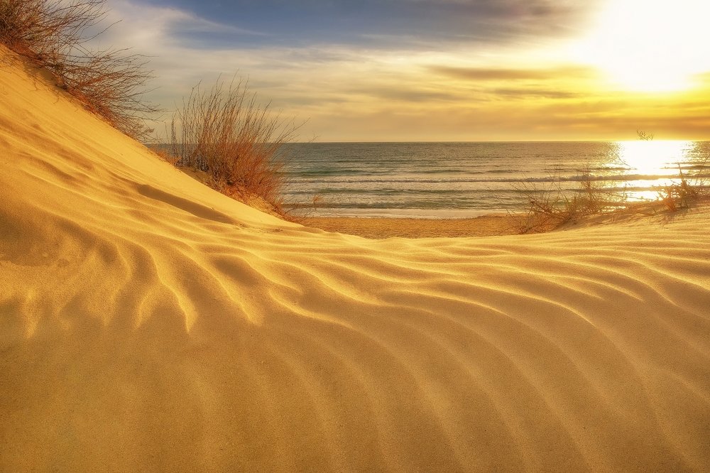 Photograph by Олеся Федосеенкова