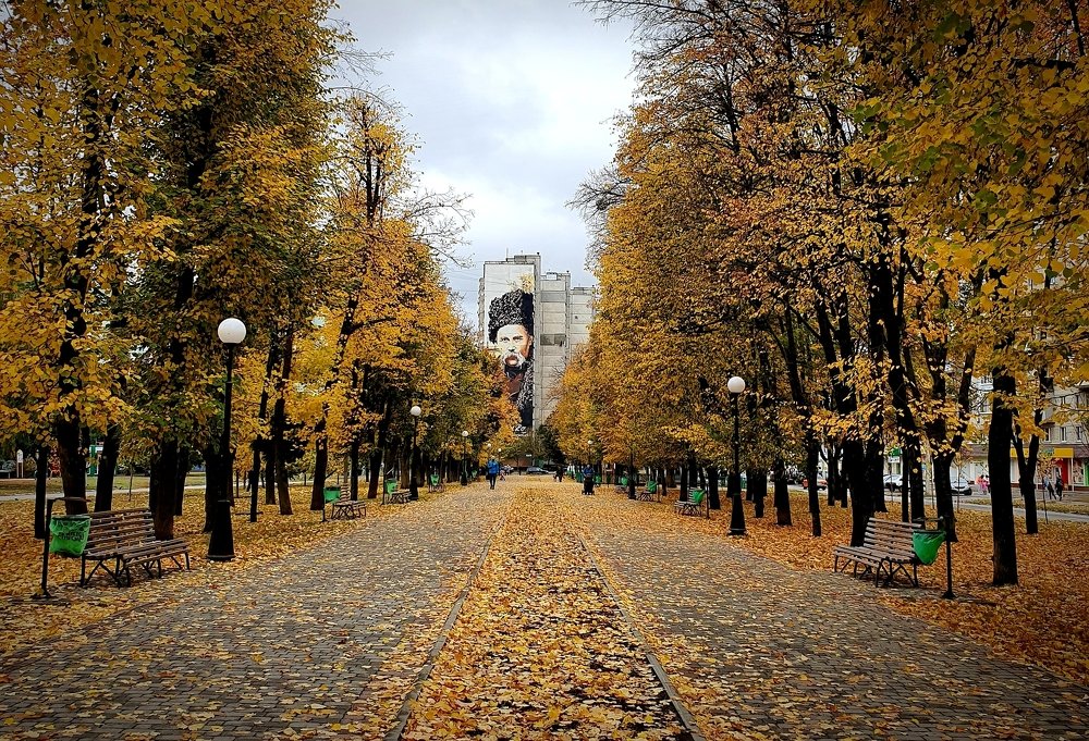 Осенний бульвар/ Autumn boulevard
