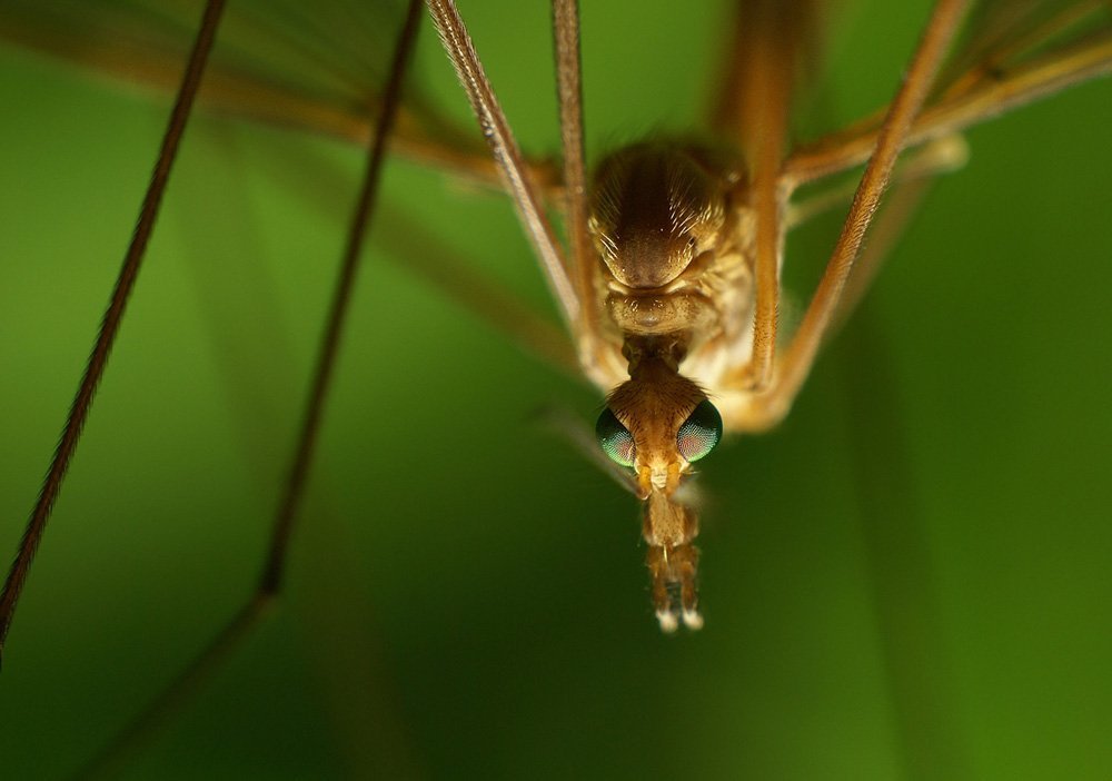 Photograph by Владимир Письмак