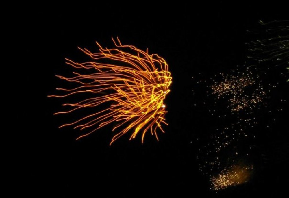 ВОЛОСЫ ВЕНЕРЫ