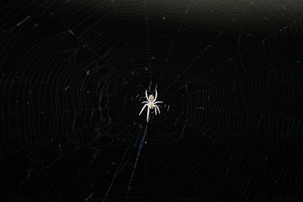 Photograph by E Hamdi Abdullah