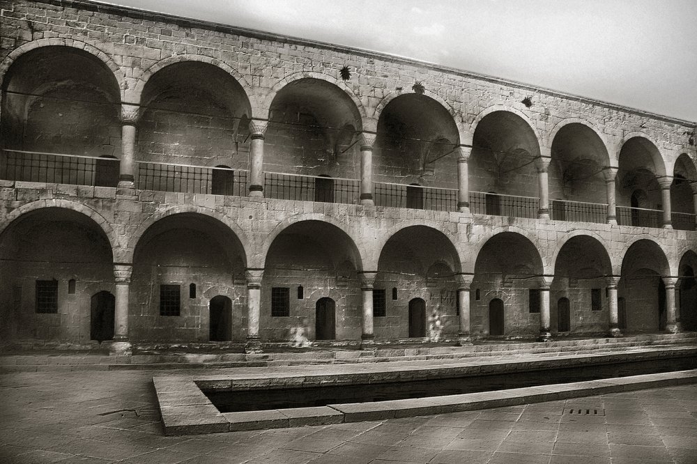 Фотография автора  Gemini