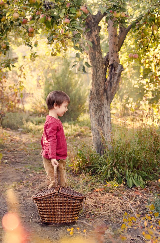 Photograph by Светлана Чужданова