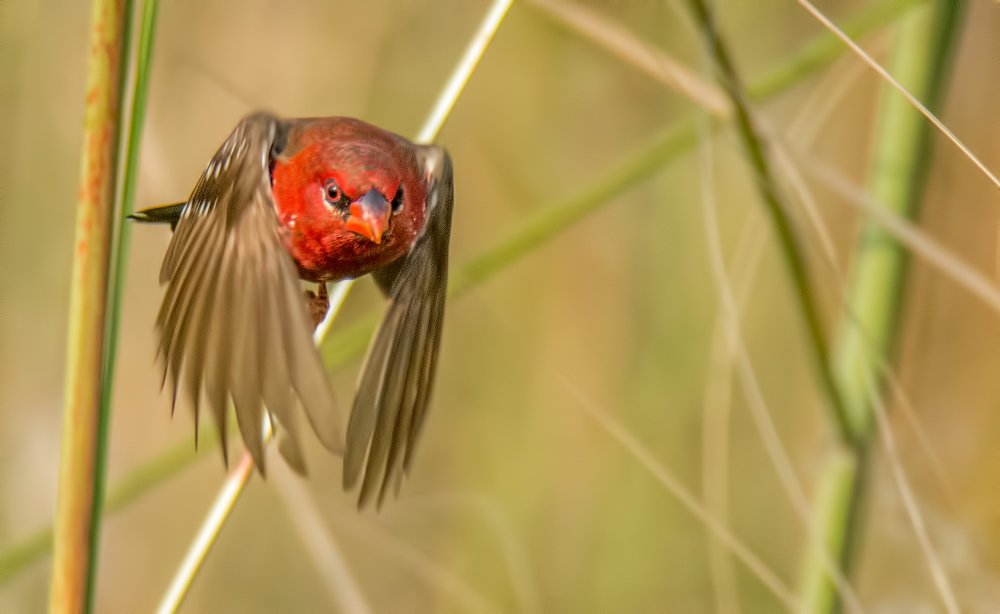 Photograph by Zayed Sanim