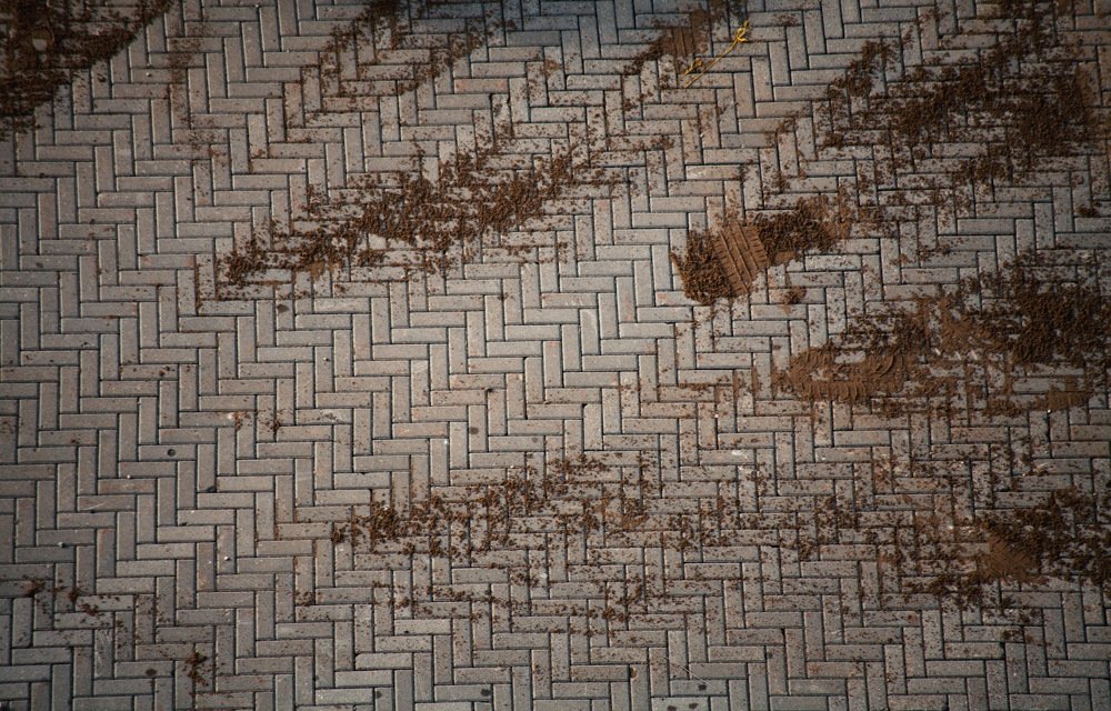 Photograph by Никита Малых