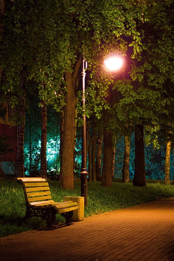 Photograph by Никита Малых