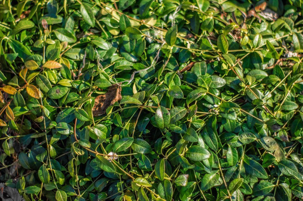 Photograph by Никита Малых