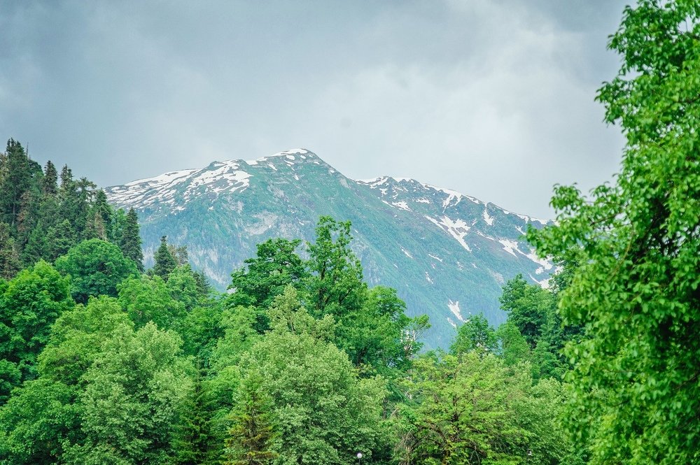 Photograph by Alexander Coin