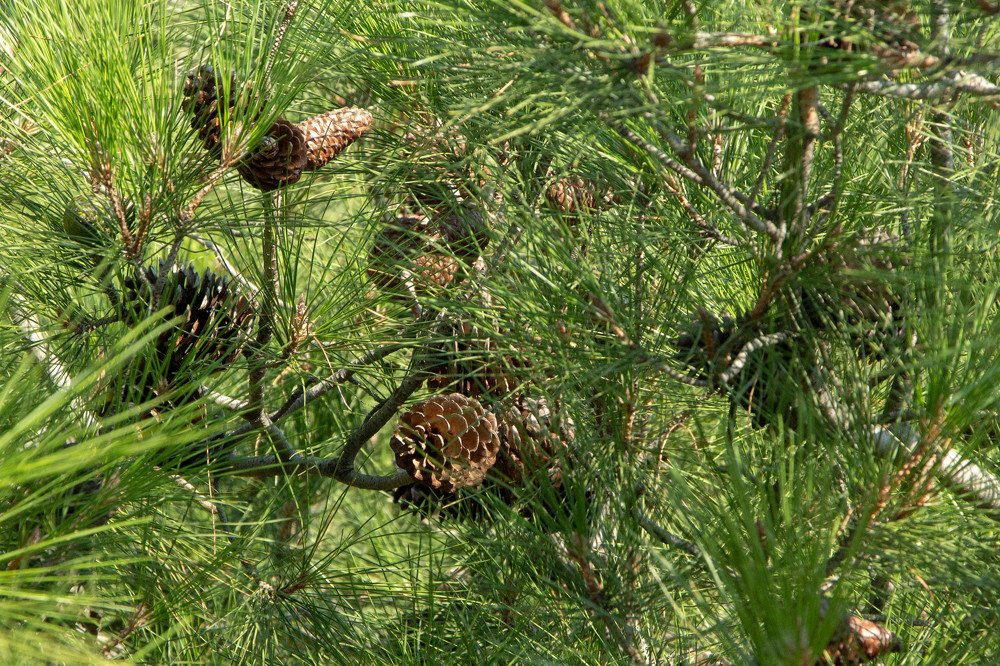 Photograph by Владислав Кашковский