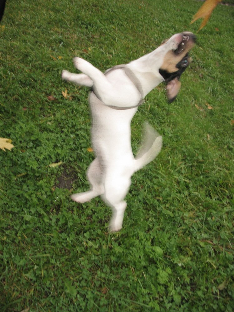 Фотография автора Нина Калинина